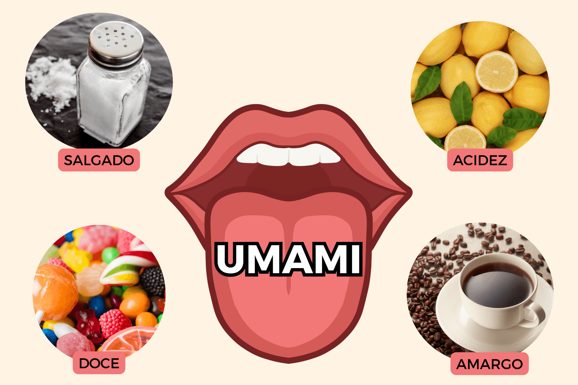 Umami: o sabor secreto 